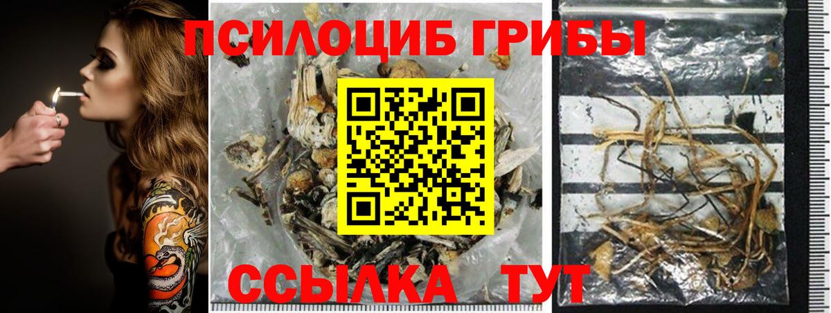Великий Устюг  магазин продажи   Вход с VPN  Галлюциногенные грибы ЛСД 
