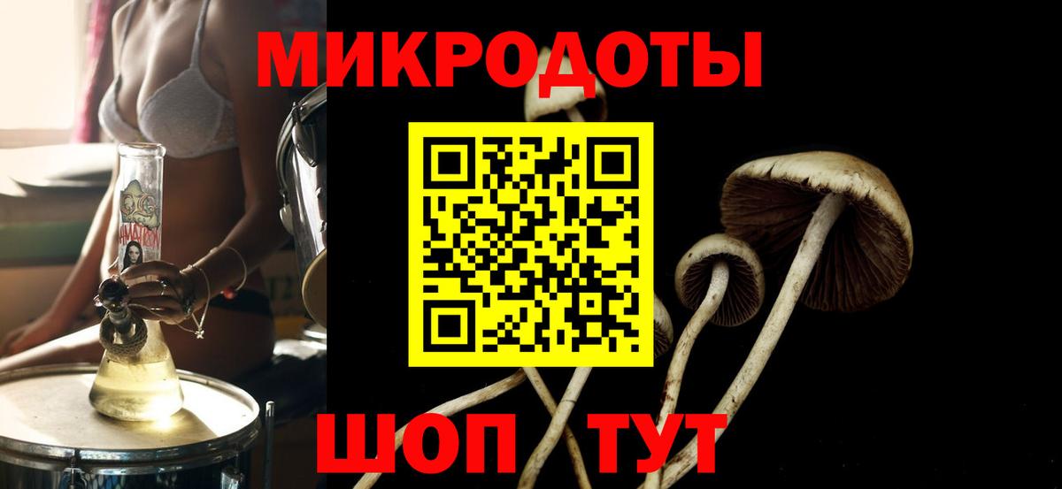 Галлюциногенные грибы мицелий Великий Устюг